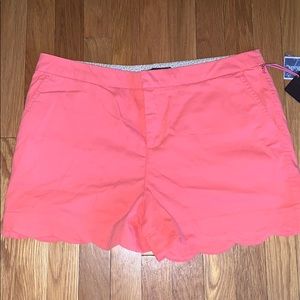 Cynthia Rowley Midi Shorts- SCALLOPED
